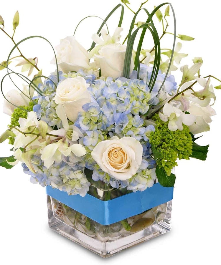 Sweet In Blue