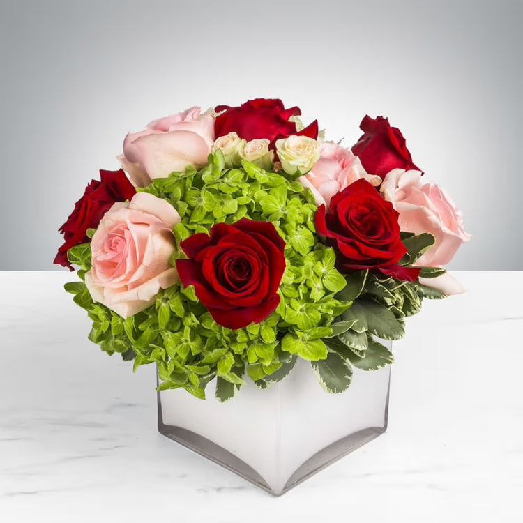 Love Blooms