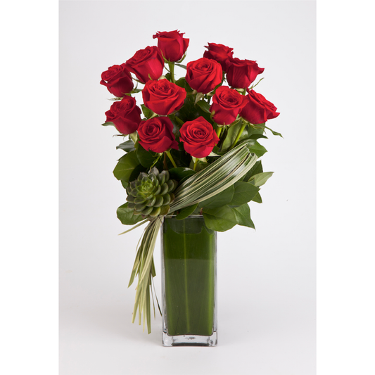 Modern Dozen Roses