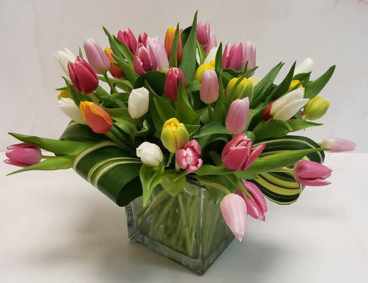 Tulip Garden
